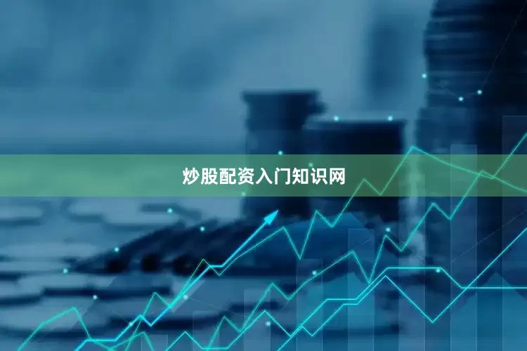 炒股配资入门知识网