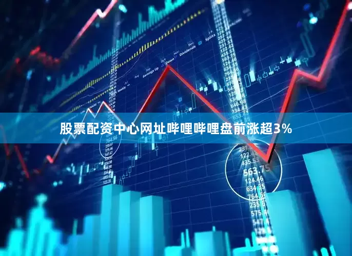 股票配资中心网址哔哩哔哩盘前涨超3%