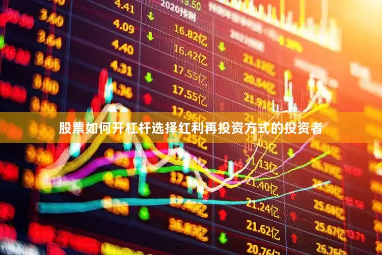 股票如何开杠杆选择红利再投资方式的投资者
