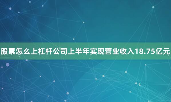 股票怎么上杠杆公司上半年实现营业收入18.75亿元